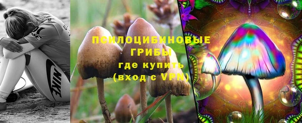 тгк Михайловск