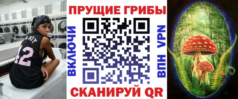 Псилоцибиновые грибы мицелий  Кызыл 